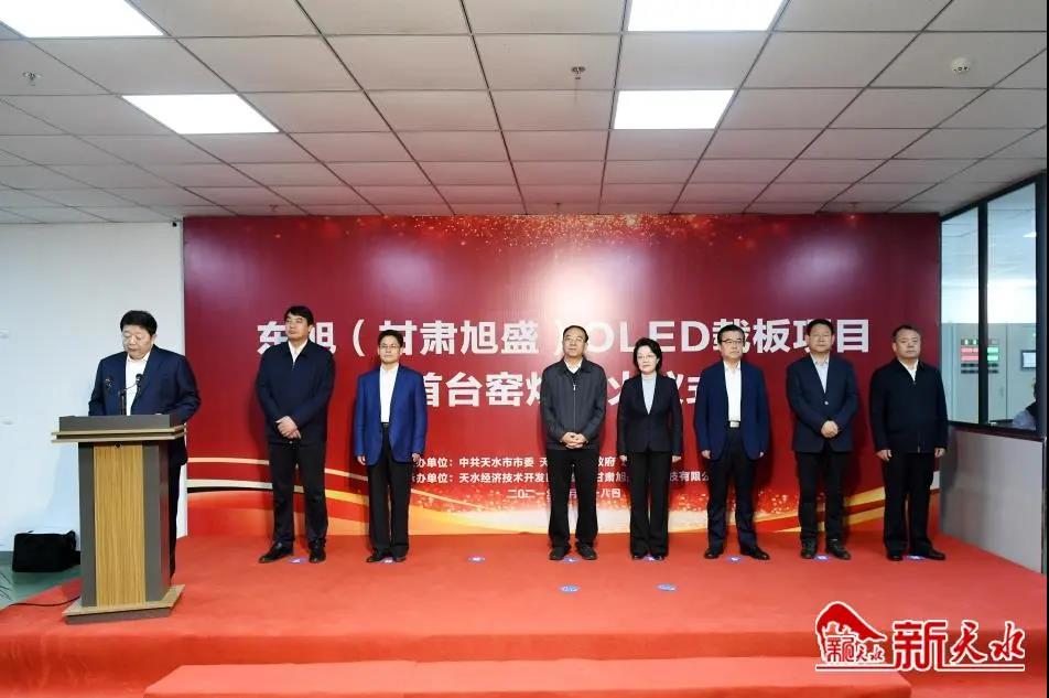 東旭集團OLED新型顯示材料項目正式投產