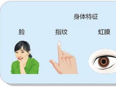 大學研究人員以液晶液滴實現PUF安全性