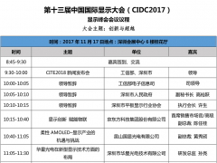 第十三屆中國國際顯示大會(huì)議程火熱出爐