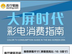 彩電市場一味求大 巨屏競賽切勿“華而不實(shí)”