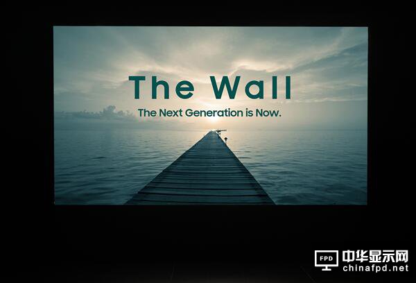 ——The Wall Professional@ʾ